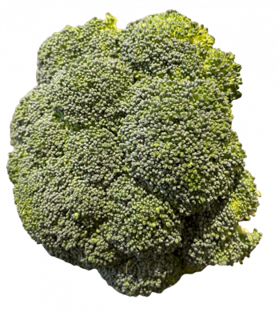 Broccoli