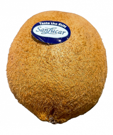 Kiwi Sanluca