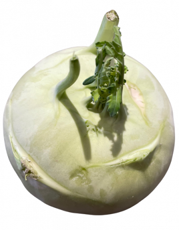 Kohlrabi