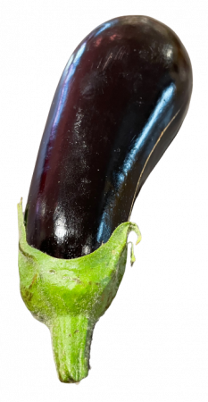 Aubergine