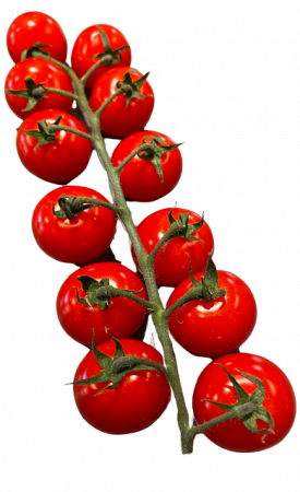 Cherrytomaten