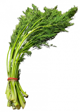 Dill