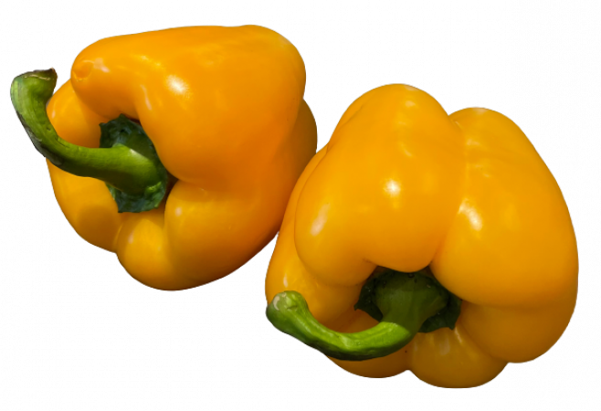 Paprika – Gelb