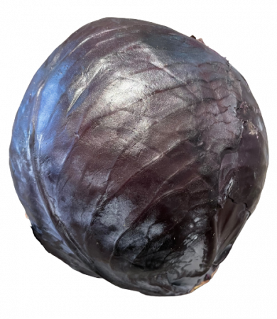 Rotkohl