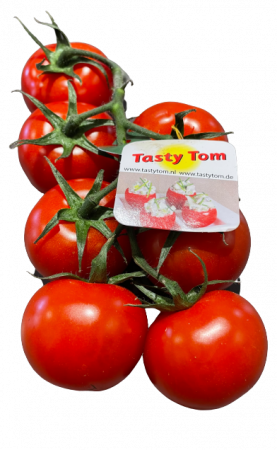 Tasty Tomaten